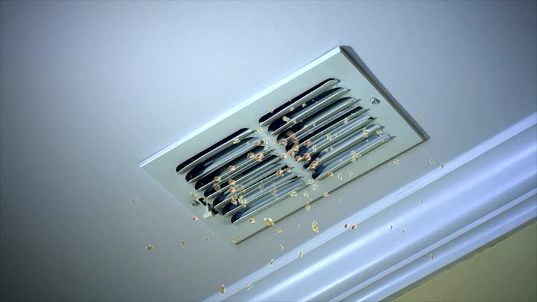 Best Emergency Air Duct Cleaning  in Harvard, NE