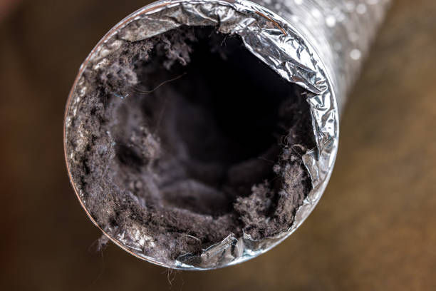Best Air Duct Cleaning Near Me  in Harvard, NE